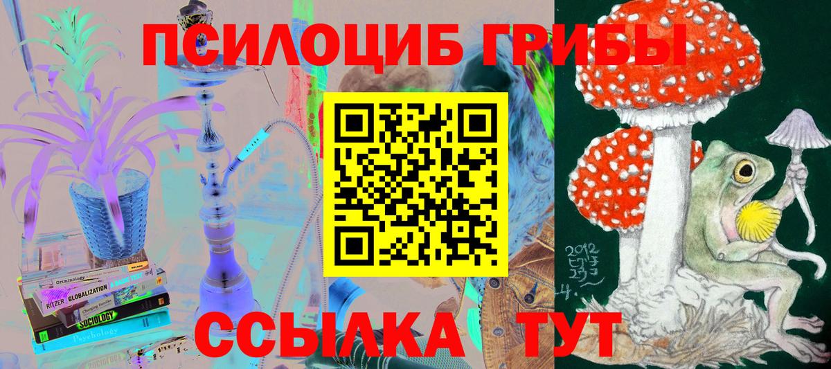 Вышний Волочёк  Галлюциногенные грибы Magic Shrooms  Галлюциногенные грибы мухоморы  Вход с VPN 