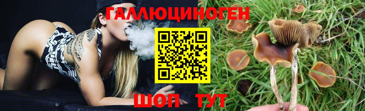 НБОМе Вышний Волочёк