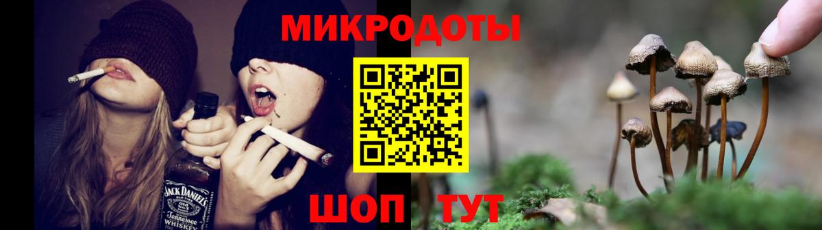 Псилоцибиновые грибы Cubensis Вышний Волочёк